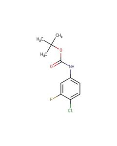Astatech TERT-BUTYL 4-CHLORO-3-FLUOROPHENYLCARBAMATE; 5G; Purity 95%; MDL-MFCD21170108